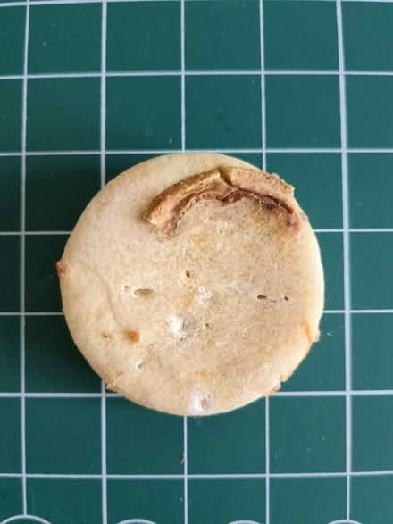 Photo of free Lush shampoo bar (Hillsborough S6) #1