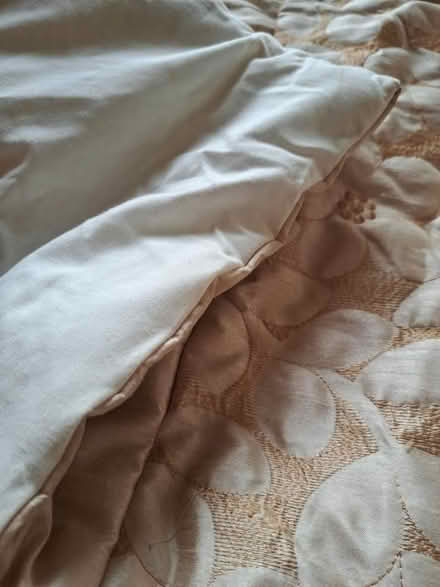 Photo of free Quilted Bedspread (Darley Hillside DE4) #3