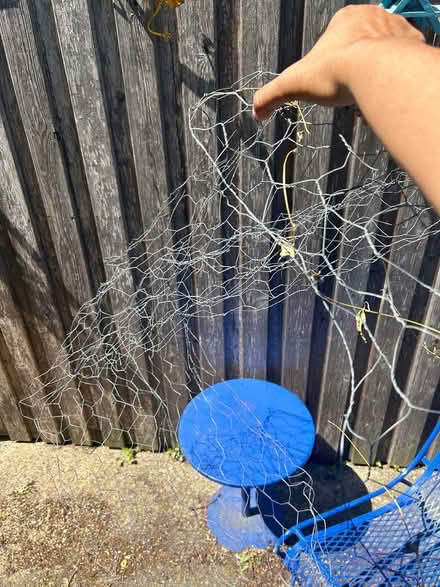 Photo of free Chicken coop netting (Petworth) #1