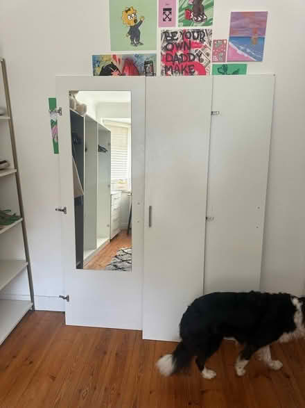 Photo of free ikea dombas doors (BN2) #2