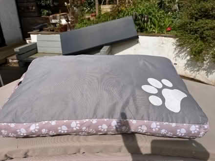 Photo of free Dog bed (Clifton CA10) #1