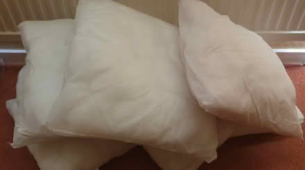 Photo of free Cushion pads (Chelmsford) #1