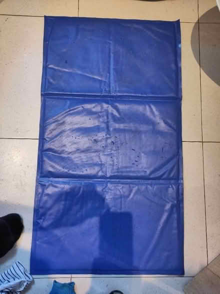 Photo of free Dog cooling mat (Kings Heath B14) #1