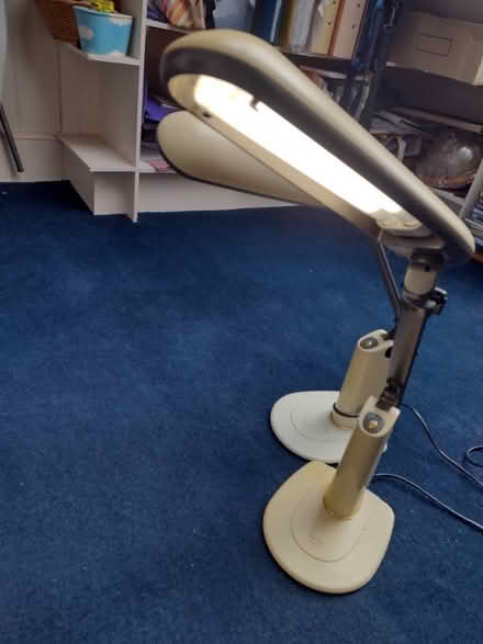 Photo of free Two Lamps (CT14) #1