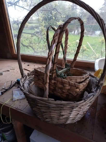 Photo of free Baskets for flower arrangement (HR2) #1