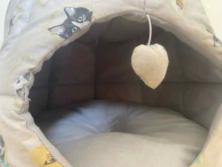 Photo of free Cat bed (Dun Laoghaire) #3