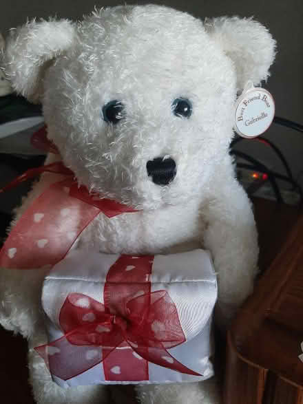 Photo of free Angel wing bear (Farmington Hills) #2