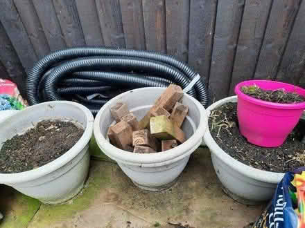 Photo of free Garden planters, pots & tomato Feed (CA7) #1