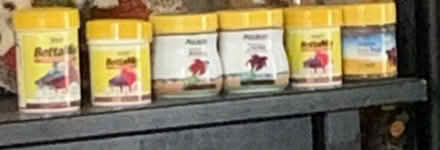 Photo of free Betta or Glo Fish food (Landover hills) #1
