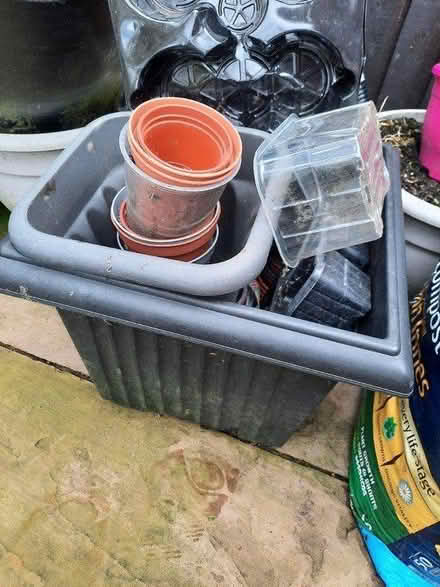 Photo of free Garden planters, pots & tomato Feed (CA7) #2