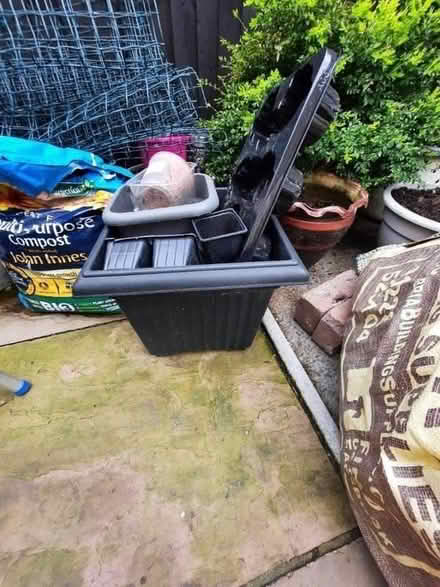 Photo of free Garden planters, pots & tomato Feed (CA7) #3