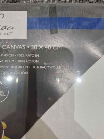 Photo of free Artist's blank canvas (small) (West End LA3) #2