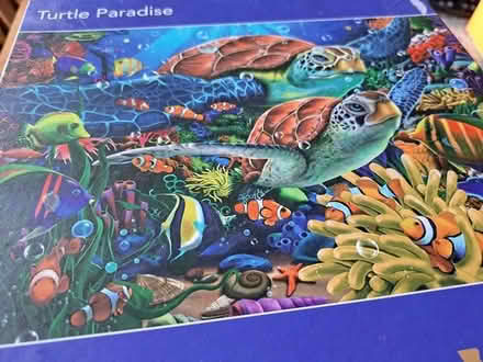 Photo of free 1000 piece jigsaws (melksham east SN12) #3