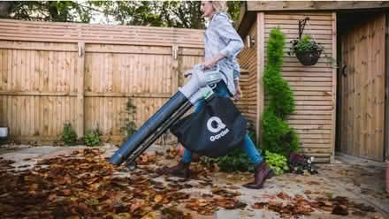 Photo of free Leaf Blower (Molesey KT8) #3