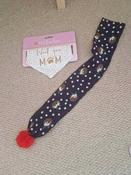 Photo of free Dog bandana and christmas scarf (Haywards Heath RH16) #1