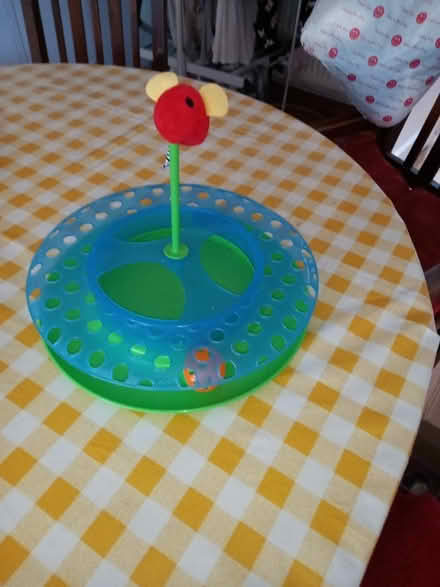 Photo of free cat toy (Sopwell AL1) #1