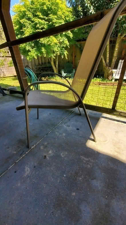 Photo of free Garden chairs (Belmont) #1
