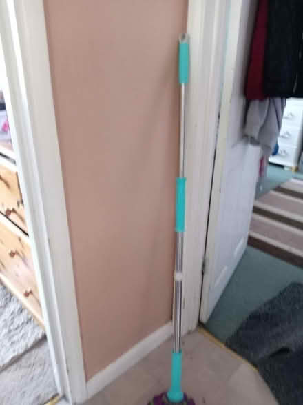 Photo of free Mops (Maidenhead) #2