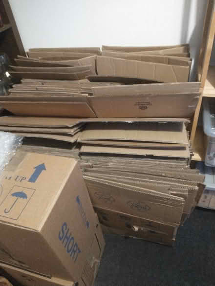 Photo of free Moving boxes (Walker NE6) #1