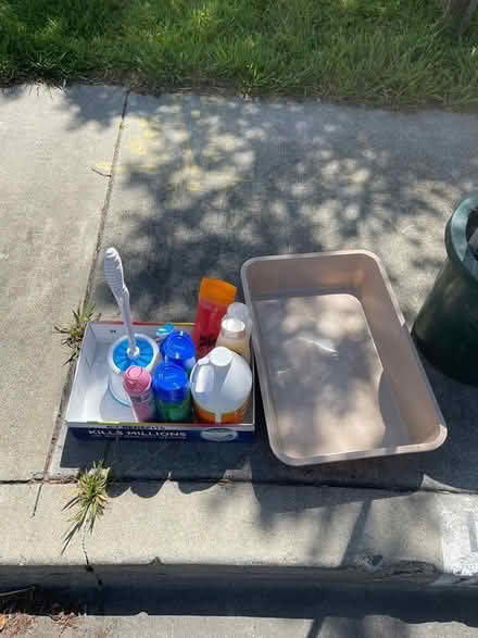 Photo of free Bathroom cleaning and shampoo (Santa Clara) #1