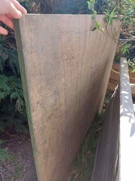 Photo of free Plywood pieces 20mm or 3/4" thick (Presteigne LD8) #3