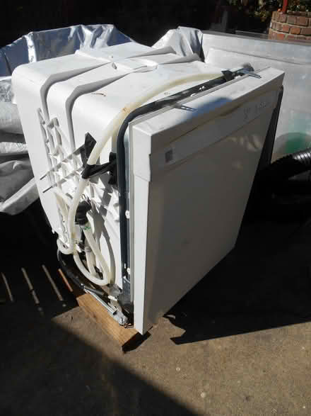Photo of free Dishwasher, Kenmore - Burning Man? (Richmond) #1