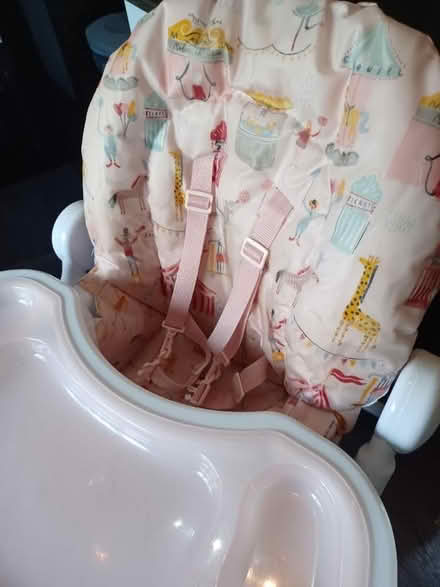 Photo of free Pink and white high chair (Holmeslack, PR1) #2
