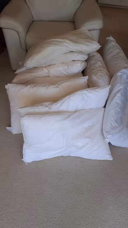 Photo of free pillows (PO21 Nyetimber) #1