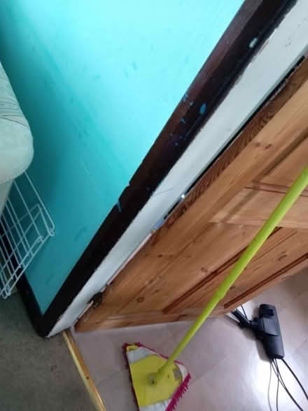 Photo of free Mops (Maidenhead) #1