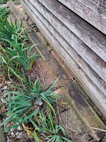 Photo of free Fence Post (Fields End HP1) #1