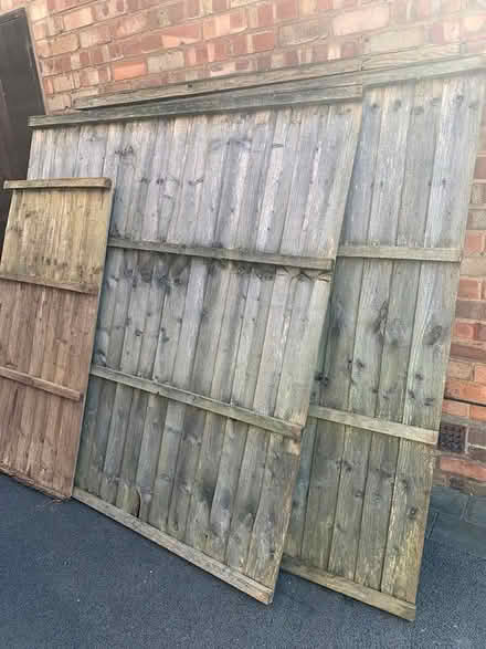 Photo of free Fence panels (B31) #2