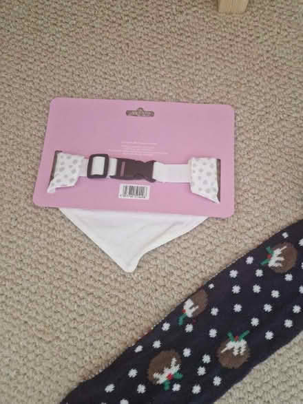 Photo of free Dog bandana and christmas scarf (Haywards Heath RH16) #2
