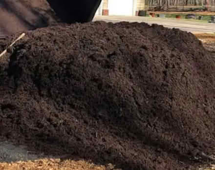Photo of free mulch and dirt (Irvington NJ) #2