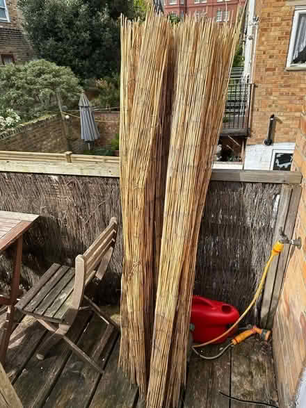 Photo of free Natural Fencing (W14) #1