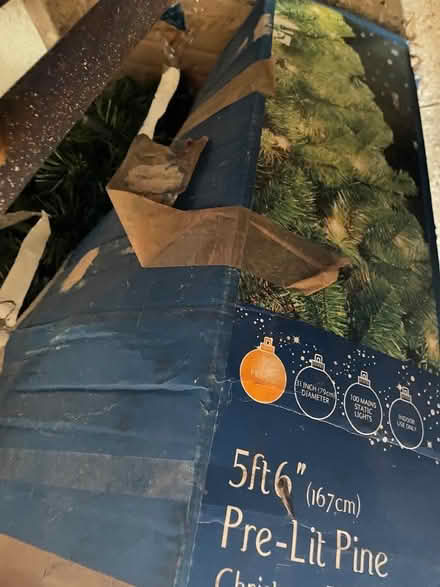 Photo of free Christmas tree (Seaford BN25) #1