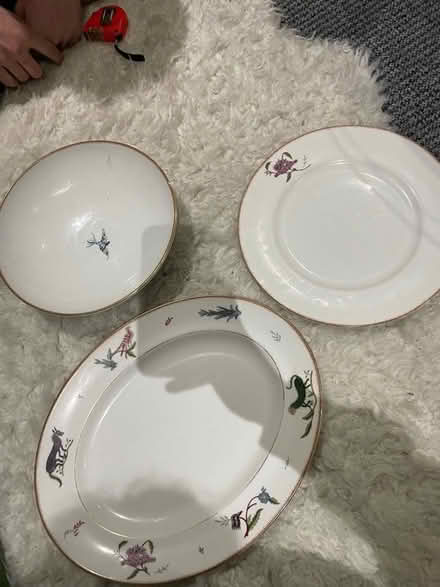 Photo of free Plates (SW18) #1