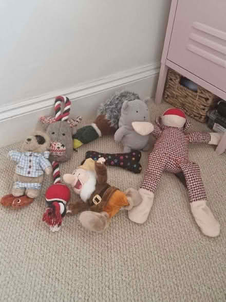 Photo of free Selection of dog toys (Haywards Heath RH16) #1