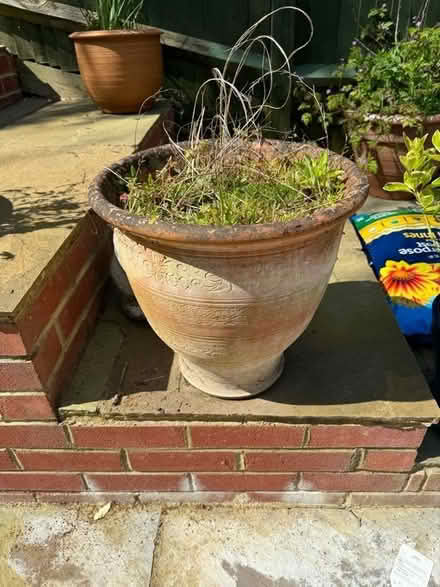 Photo of free 2 large pots (Windsor SL4) #2