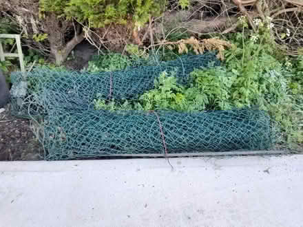 Photo of free Wire fencing (Burnham on Crouch) #2