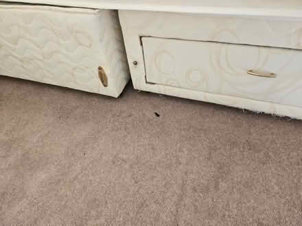 Photo of free King size divan bed and mattress (St Nicholas SG1) #3