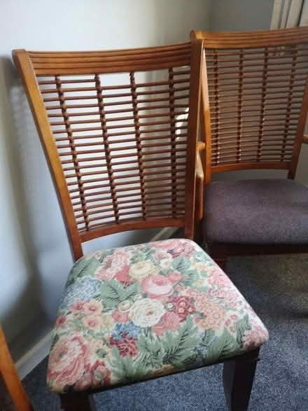 Photo of free 6 chairs fresh upholstery (BH2) #1