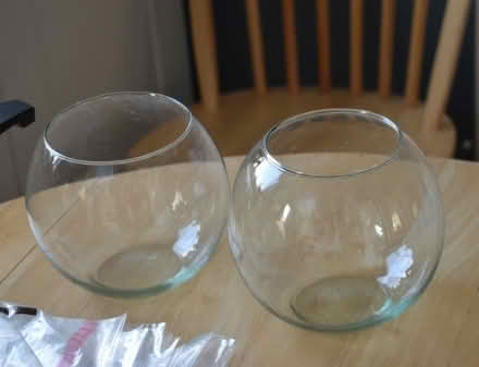 Photo of free Two glass orchid bowls (Willingdon BN21) #1