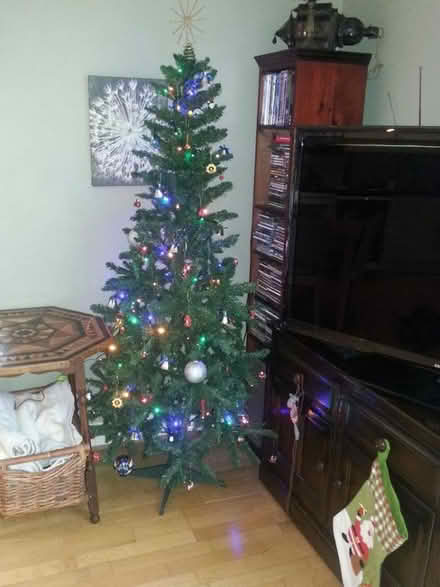 Photo of free 6ft Christmas tree (SW16) #1
