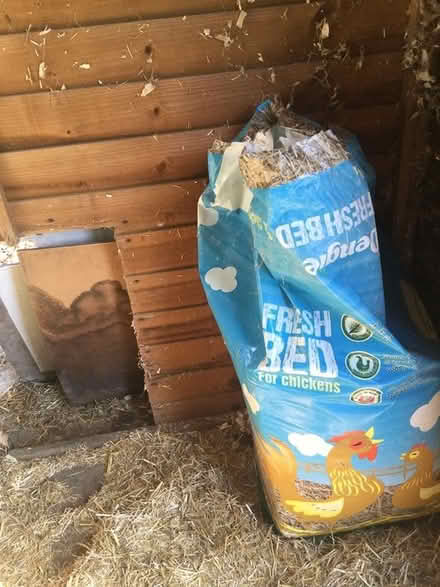 Photo of free Chicken bedding and pellets/corn (luton LU3) #2