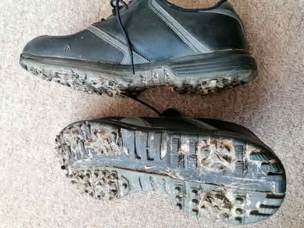 Photo of free Golf Shoes size 8 Nike (Holsworthy) #4
