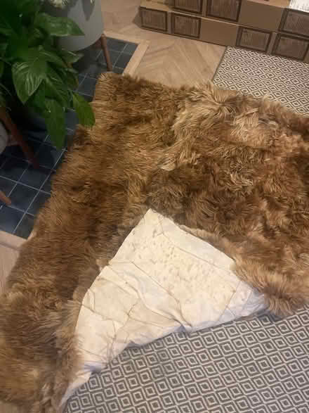 Photo of free Alpaca rug/ blanket (SW11) #2
