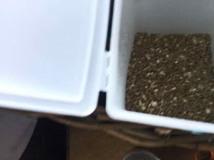Photo of free Chicken bedding and pellets/corn (luton LU3) #3