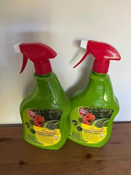 Photo of free Provanto Fungus Fighter Plus spray (Twickenham) #1