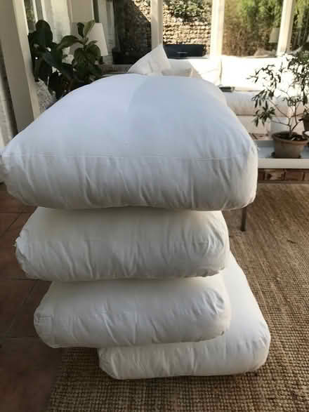 Photo of free Settee cushions, 4, brand new (Westerton) #2