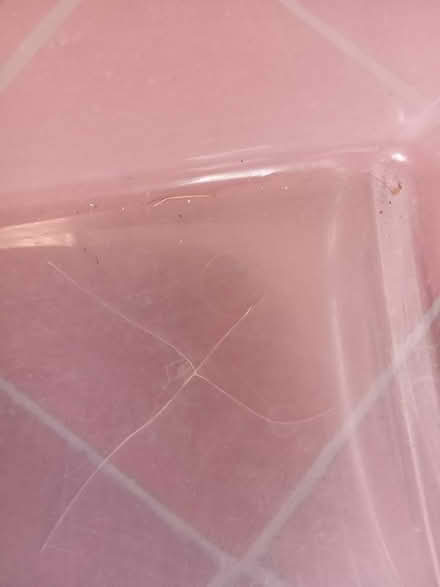 Photo of free Clear plastic box with lid (Nyetimber PO21) #2